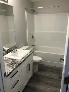 West Hill Duplex for Rent - Photo 4