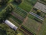 Our Farm YXE Job Openings for Field Hand for this 2026 season.