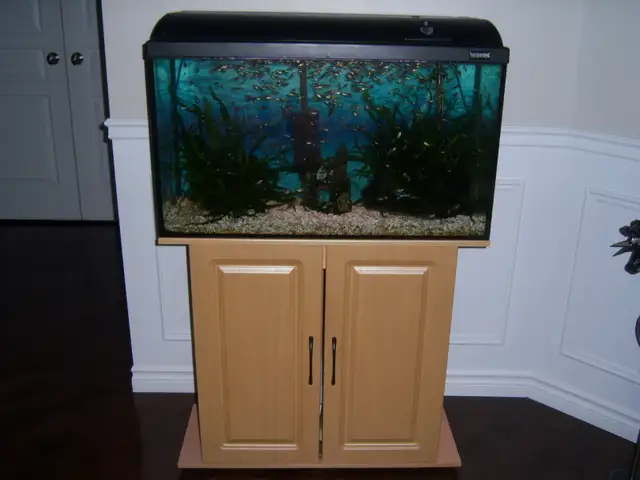 Aquarium tout équipé 30 gallons