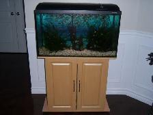 Aquarium tout équipé 30 gallons