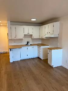 Studio 2 1/2 Laval style loft rénové - Photo 2