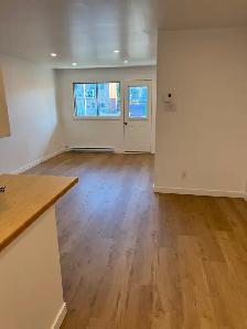 Studio 2 1/2 Laval style loft rénové - Photo 5