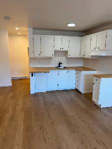 Studio 2 1/2 Laval style loft rénové - Photo 8