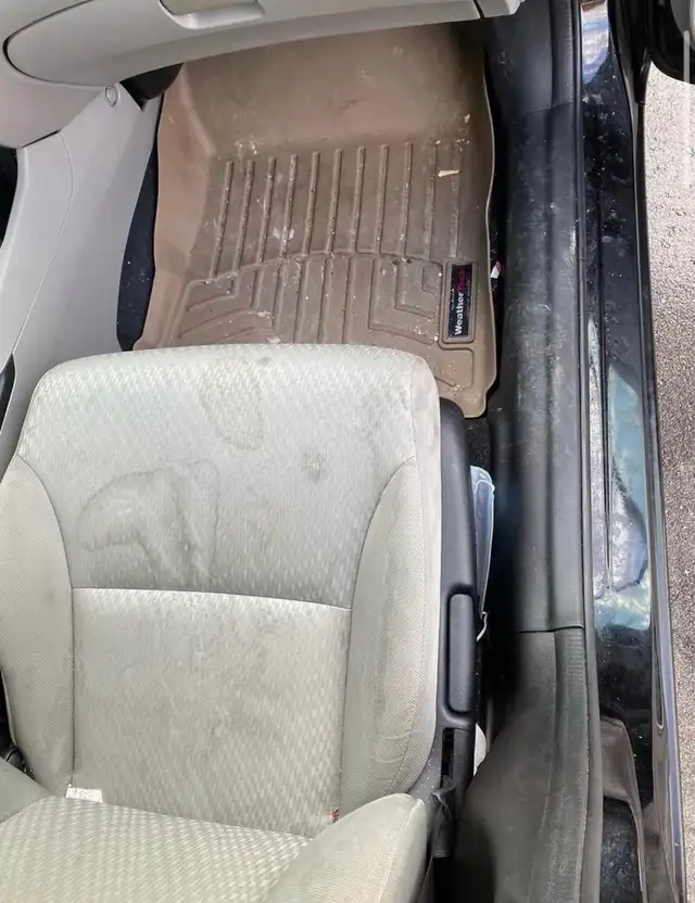 premium interior detailing