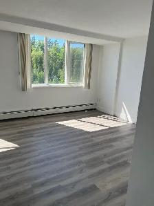 freshly renovated apartment