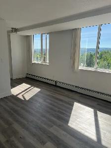 freshly renovated apartment - Photo 2