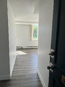 freshly renovated apartment - Photo 4