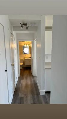 freshly renovated apartment - Photo 8