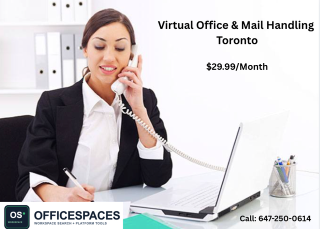 Virtual Phone & Virtual Office $29.99 / month