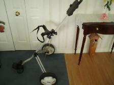 GOLF CLUBS CART  ( EXCELLENT CONDITION ) - Photo 2