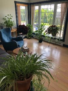 nouveau Sorel-Tracy 5 1/2 - Photo 3