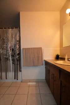 Fully furnished 3-bedroom w/ Garage for rent in Drayton Valley - Photo 8
