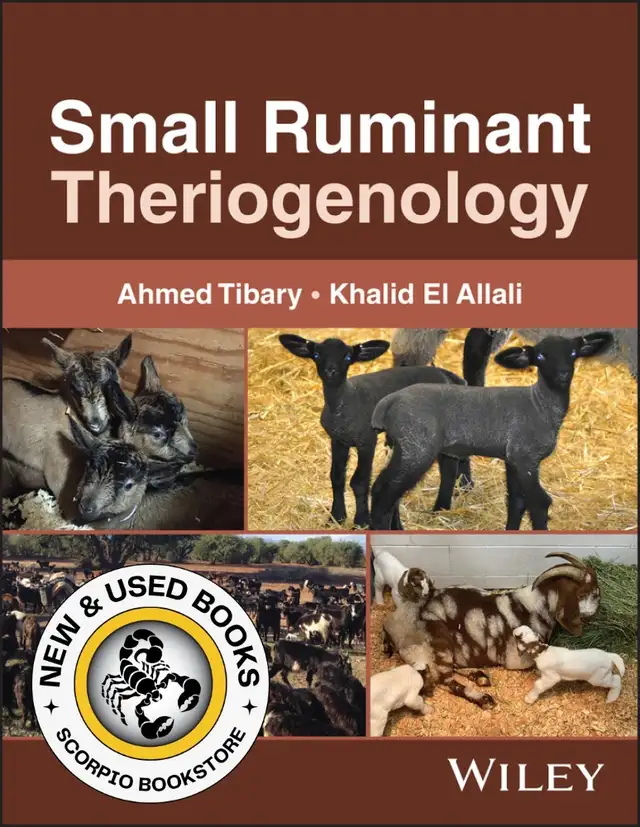 Small Ruminant Theriogenology by Ahmed Tibary 9781394309801
