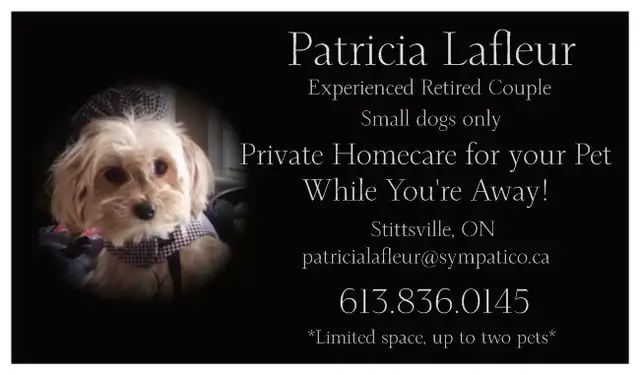 Private Pet Sitter