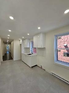 4 1/2 For Rent / Fully Renovated / Plateau Mont Royal - Photo 2