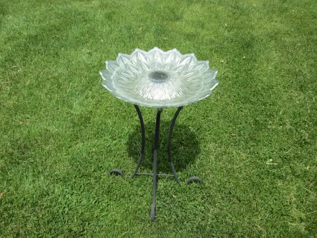 BIRD BATH