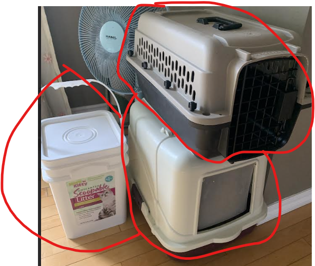 litterbox/kennel/free liter for $10 OBO