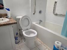 Bachelor apartment available for rent