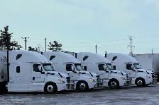 A/Z job hiring! Pay On Time! Brampton, Ontario - Photo 3