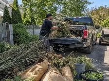 Junk Removal Mississauga — Half the Price of GOT-JUNK - Photo 2
