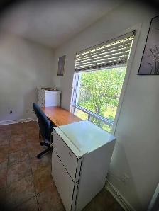 Fully Furnished Room For Rent (Professional/Student) - Photo 3