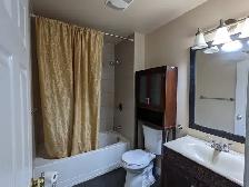 Room for Rent | Main floor Scarborough (FEMALE ONLY) - Photo 3