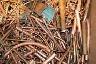 Free scrap metal pick up 647-920-7509 - Photo 5