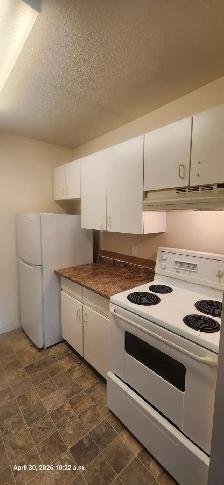 Rosewood Court #221 - Photo 2