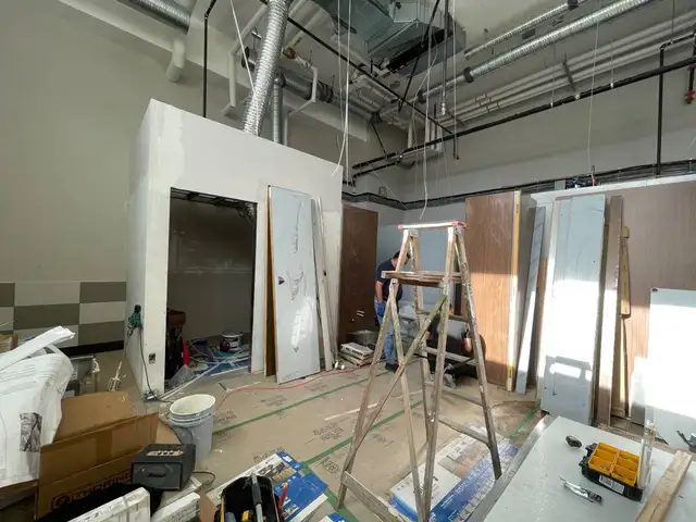 Local Handyman / Maintenance and Repair services (North Shore)