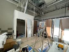 Local Handyman / Maintenance and Repair services (North Shore)