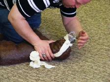Pet First aid course - Photo 4
