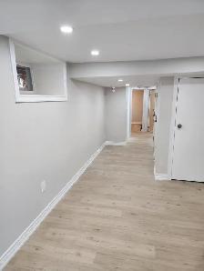 (LOWER LEVEL-Luxurious Hamilton walkout Basement) - Photo 8