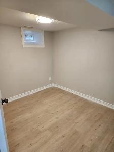 (LOWER LEVEL-Luxurious Hamilton walkout Basement) - Photo 9