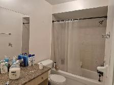 room for rent in Ajax ( July 1st ) - Photo 3