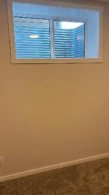 RENT REDUCED: LEGAL BASEMENT: 2  1 BRs, Kitchem, Kitchen, Dining - Photo 9