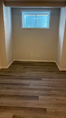 RENT REDUCED: LEGAL BASEMENT: 2  1 BRs, Kitchem, Kitchen, Dining - Photo 10