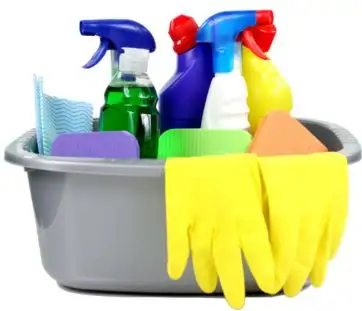 House Cleaning Services