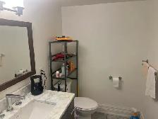 Apartment - Photo 10