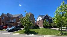 lawn care - Photo 4