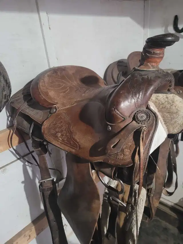 emore 280 series roping saddle!
