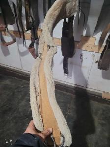 emore 280 series roping saddle! - Photo 7