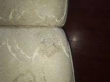 Free Couch - Photo 2