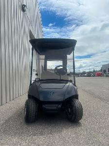 Golf Cart - 2021 Yamaha Drive 2 - Photo 3