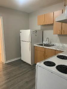 Bachelor unit for rent in triplex - Photo 7