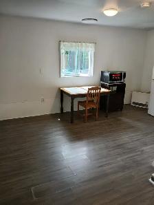 Charming All-Inclusive Studio Apt in Port Colborne- $1200/month - Photo 3