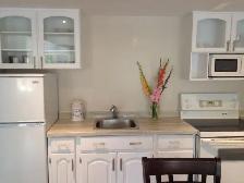 Furnished 1-Bedroom Apartment Available for CAF Members on IR - Photo 2