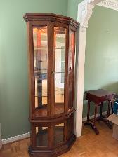 Solid Wood Lit Curio Display Cabinet