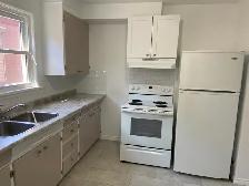 1 Bedroom Apartment on main floor in West End - Photo 3