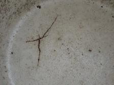 Stoneware Crock - Photo 4
