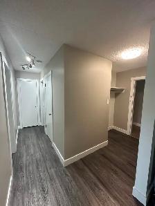 1-Bedroom suite for rent in Whyte Ave Area - Photo 4